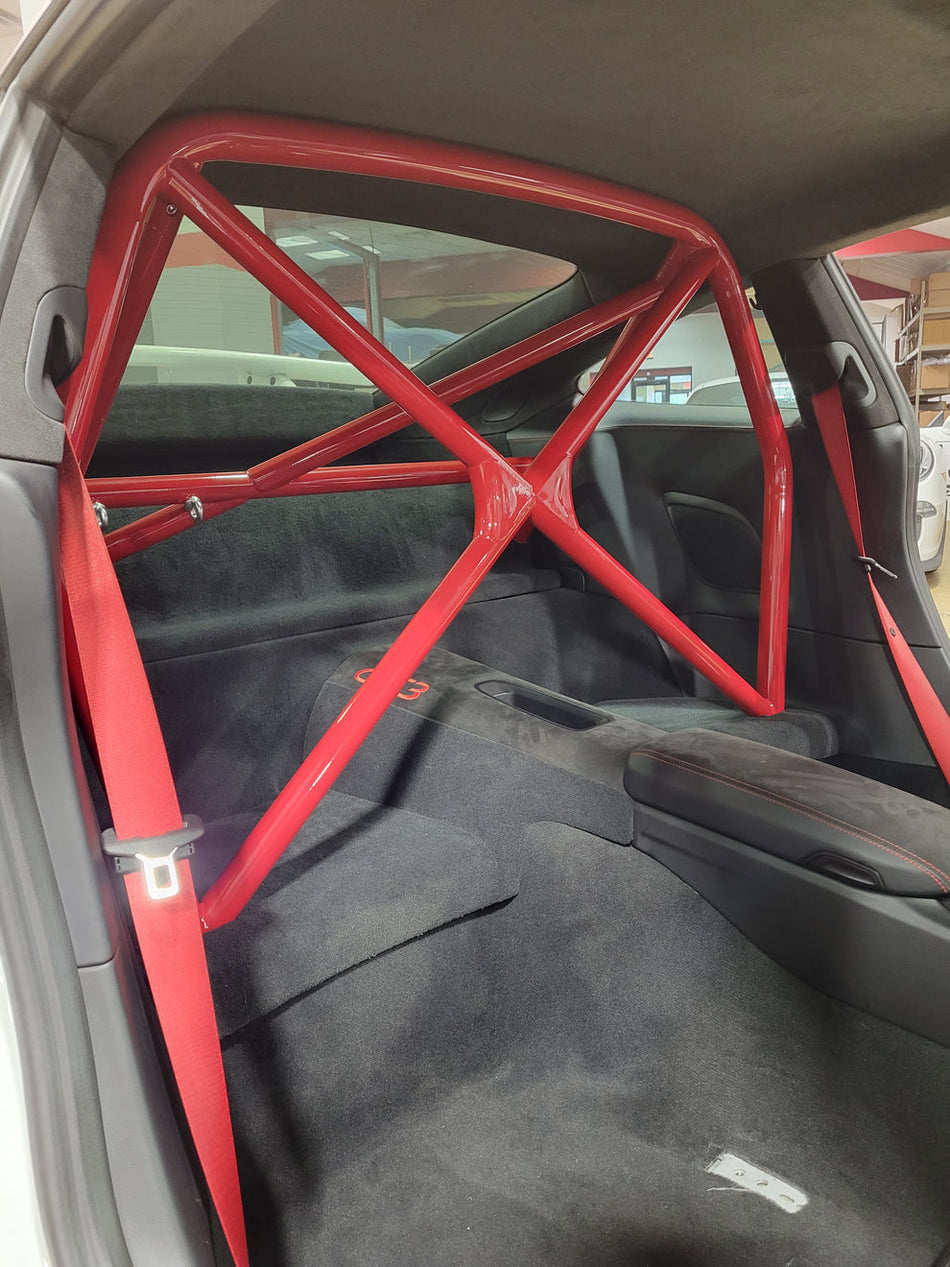 Walker Pro Motorsports 991 Clubsport Half Cage